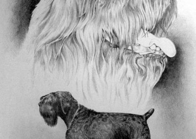 russian black terrier