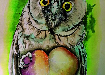 long-eared owl large